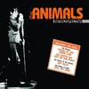 San Franciscan Nights (其他) - The Animals