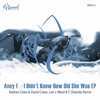 I Didn't Know How Old She Was (Nathan Coles, David Coker Remix) - Aney F.&Nathan Coles&David Coker