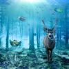 Gliding Thru the Deep - Fran