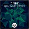 Burning Skies (Third Dimension Remix) - CNBK