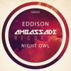 Night Owl (Radio Edit) - EDDISON