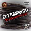 Background Check (Explicit) - Cottonmouth&K-Loc