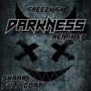Darkness (SkaaR Remix) - Skaar&Daniel Fríes