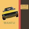 WANT YOU (Original Mix) - Salade Tomate