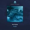 Ash - Beat Monkey