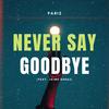 Never Say Goodbye (feat. Jaime Deraz) - Pariz&Jaime Deraz