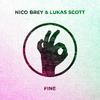 Fine - Nico Brey&Lukas Scott