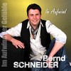 Im Aufwind der Gefühle (Radio-Mix) - Bernd Schneider