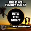 Into The Night (Breve & Harmonie Remix) - Big D&Harry Hard