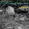 Component Crops (Explicit) - Vysotskiy&Amorph AA&Ermak