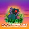 No ordinary Life(feat. Mici) (Explicit) - Streys De Dj&Mici