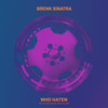 Who Haten - Brenk Sinatra&Tha Chill&Bad Azz&Mac Lucci&Kat