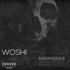 Technotic Tunes - Woshi