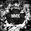 HAVOC (Explicit) - JAY2BREEZY&Jayden Torrance
