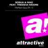 Perfect Guy (Original Radio Mix) - Sosua&Mad&Treesha Moore