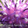 Electronic Spring (Instrumental Version) - Robert Carollo