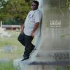 Seashells - Drevo Coolidge&Just us