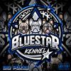 Blue Star Kennel(feat. Big Pokes) (Explicit) - Evil Sounds&Big Pokes