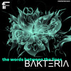 The Words Between the Lines - Bakteria