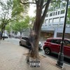 Ricardoo Flow (Explicit) - Jitness