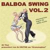 Swing. Brother Swing (DJ Wuthe am Grammophon) - Willie Lewis and his Orchestra