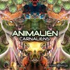 Space Babas (Original Mix) - Animalien&Critter