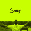 Sory (Explicit) - Fabijański