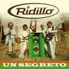 Non é normale(It's not Unusual) - Ridillo