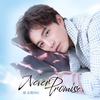 Never Promise - 徐志贤BIE