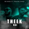 Theek Hai (Explicit) - Mr Mani&Hashim Ishaq