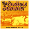 The Shift - The Beach Boys&B Wilson&M Love