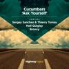 Bad Trip (Sergey Sanchez & Thierry Tomas Remix) - Cucumbers&Sergey Sanchez&Thierry Tomas