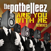 Are You with Me (Hook N Sling Remix) - The Potbelleez&Hook N Sling