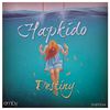 Destiny (Original Mix) - Hapkido