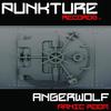 Panic Room (Original Mix) - Angerwolf