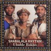 Qamb' Amanga - Shabalala Rhythm