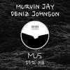 MUS (Microhead Remix) - Deniz Johnson&Murvin Jay