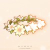 我不曾忘记 - 花玲&张安琪&沐霏