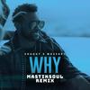 Why (Mastiksoul Remix) - Shaggy&Massari