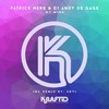 My Mind (SNYL Remix) - Patrick Hero&DJ Andy de Gage'&SNYL