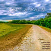 Take A Walk - Johnny P