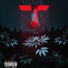 Odor(feat. Durkey) (Explicit) - 999Diorr&Durkey