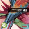 Vibe (Minimal Rockets Remix) - Dandy aka Peter Makto&Gregory S&Minimal Rockets