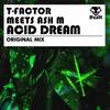 Acid Dream (Original Mix) - T-Factor&Ash M