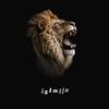 Animalz (feat. T. Rizer) - Shawn Cooley&T. Rizer