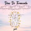 Días De Tormenta - Galo