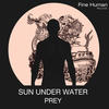 Prey (Dino Lenny Rmx) - Sun Under Water&Dino Lenny&Rickard Berg