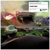 Sometimes - MOGUAI&Raumakustik