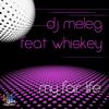 My Fair Life (Original Mix) - DJ Meleg&Whiskey