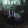 Jungle - Nseeb&Jagga